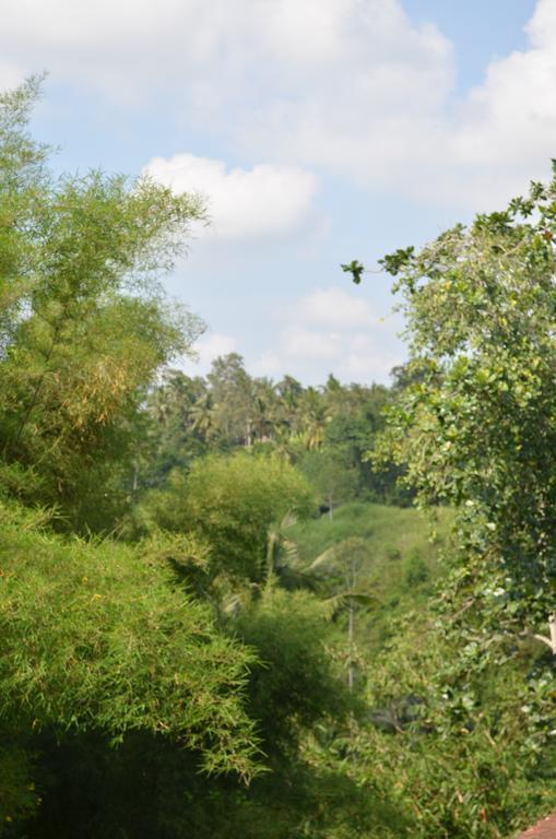 Wijaya Guest House Ubud Exterior foto